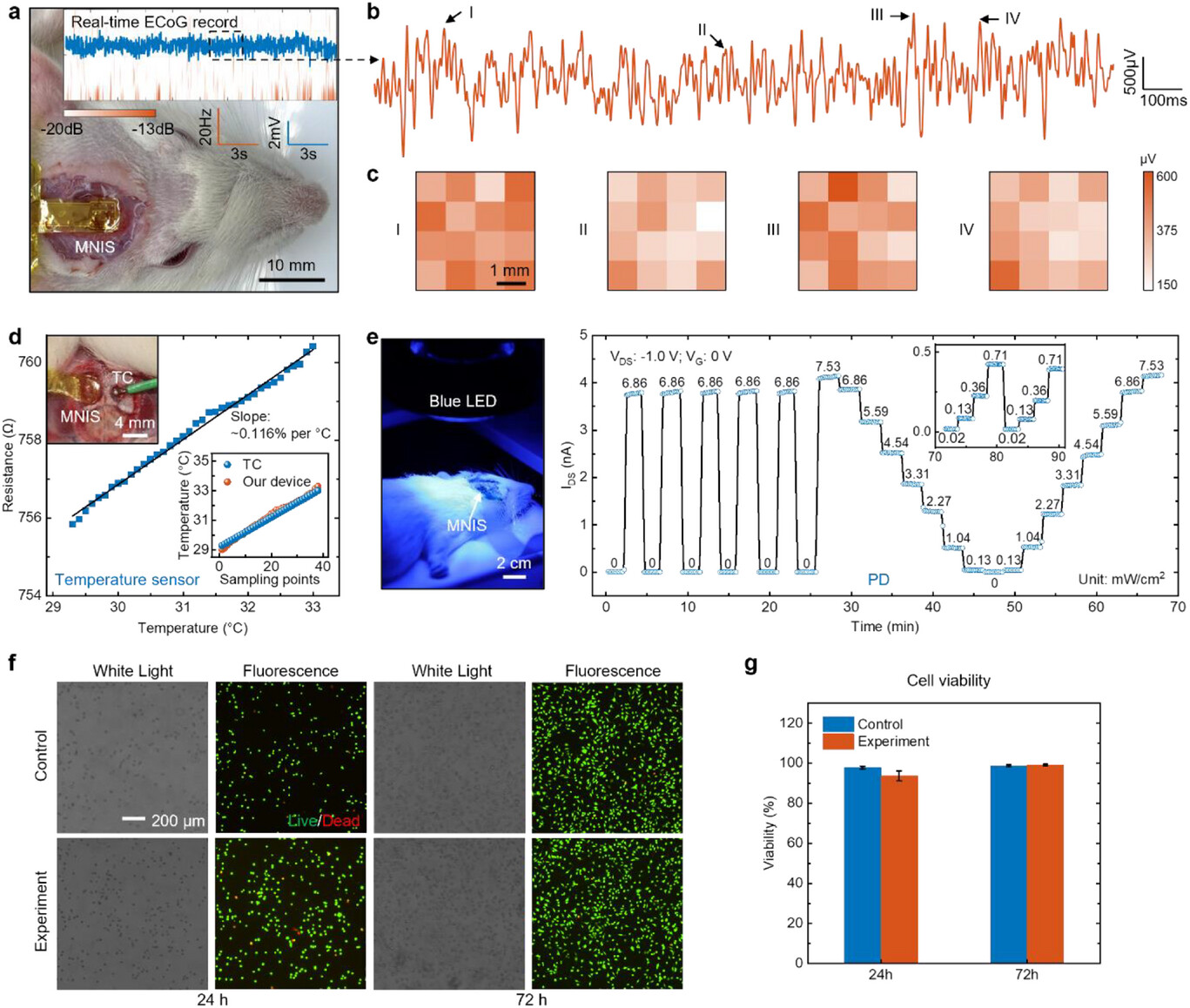 Complete source figure: photograph a of the flexible multimodal neural interface array on a rat skull with a 10 mm scale bar, ECoG traces and maps b and c, a temperature-sensor calibration d with an inset photograph of the implant beside a thermocouple, a photograph e of the rat under a blue LED with the implanted device, and cell-viability panels f and g.