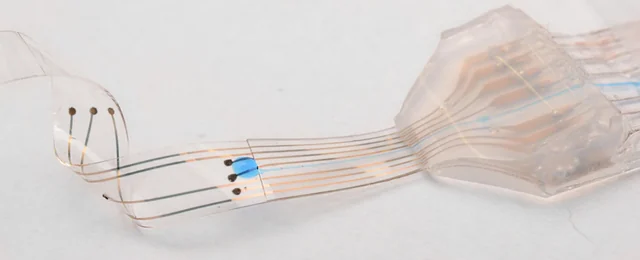 Original EPFL e-dura photograph showing the transparent silicone carrier, soft contacts, interconnects and connector region.