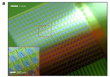 Flexible active-matrix electrode array showing the repeated electrode grid and magnified contact inset.
