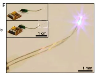 Wireless optoelectronic system powering a slender implanted micro-LED probe; electronics inset retained.