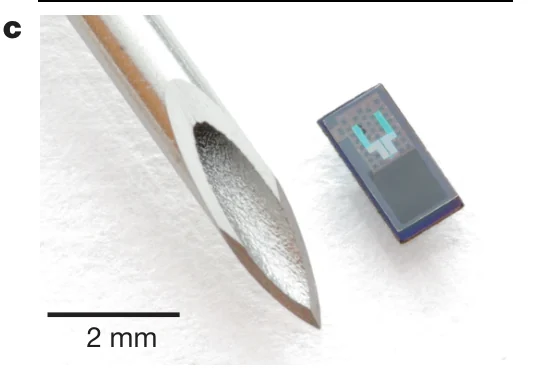 Bioresorbable silicon pressure sensor photographed beside a hypodermic needle tip.