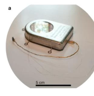 Sealed Brown wireless implant package and connected intracortical microelectrode array photographed on a surface.