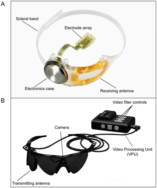Complete published figure of the Argus II retinal implant with its curved 60-electrode array, and the external camera glasses and video-processing unit.
