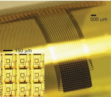 196-channel active micro-ECoG array with its contact grid, tail and magnified electrode-cell inset.