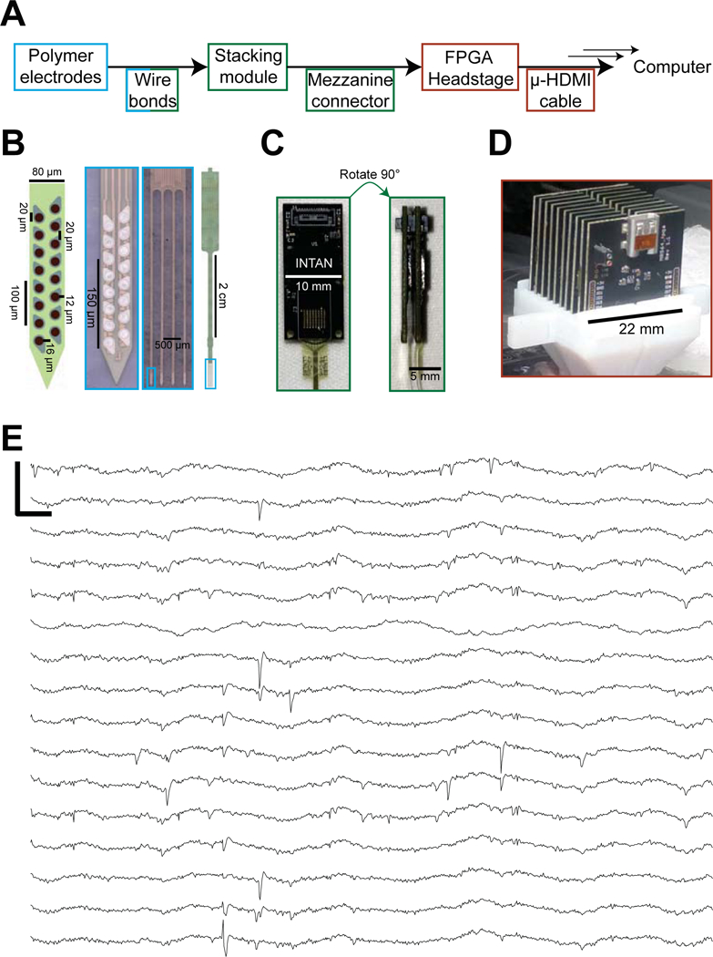 Original modular polymer probe figure showing a 16-channel shank, four-shank array, bond pads and modular headstage.