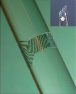 Transparent graphene cortical-surface electrode array with narrow gold traces wrapped around a green-tinted glass bar, with an inset showing the flexible array.