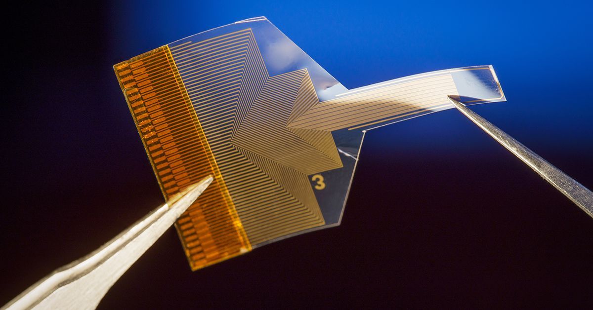 Transparent flexible graphene electrode array held in tweezers against a blue background.