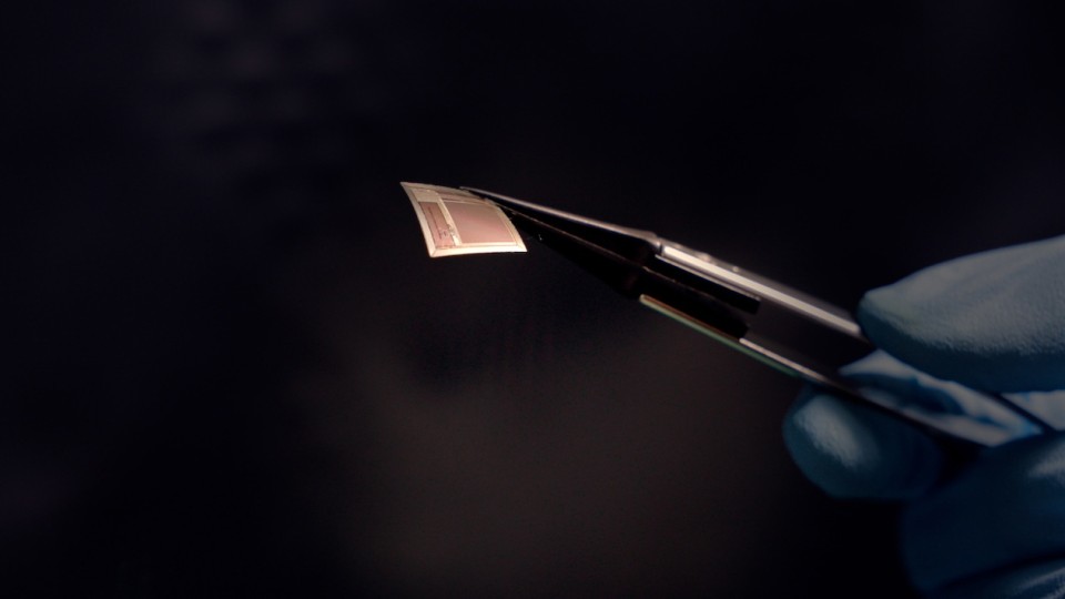 Thin square BISC silicon implant held with tweezers.