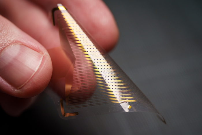 Photograph of a thin golden PtNRGrid cortical sensor sheet bent between two fingers, with dense recording contacts and fine connecting traces.