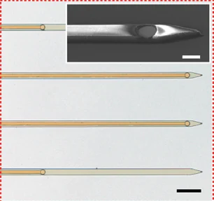 Four thin transparent Neurotassel electrode filaments ending in pointed tips with circular recording sites, with an electron-micrograph inset of one tip.