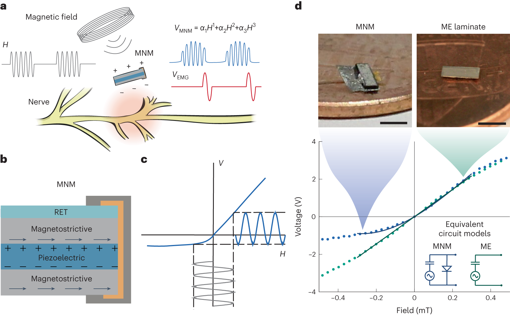 Self-rectifying magnetoelectric metamaterial photograph on a coin, alongside a conventional ME laminate, stack schematic and electrical measurements.