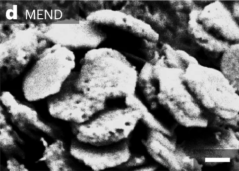An electron micrograph of rough-surfaced, stacked hexagonal magnetoelectric nanodiscs, with a 100 nm scale bar.