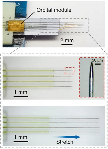 Photographs of a four-shank biomimetic flexible neural electrode array on adjustable sharpened insertion shuttles, with magnified tip views.