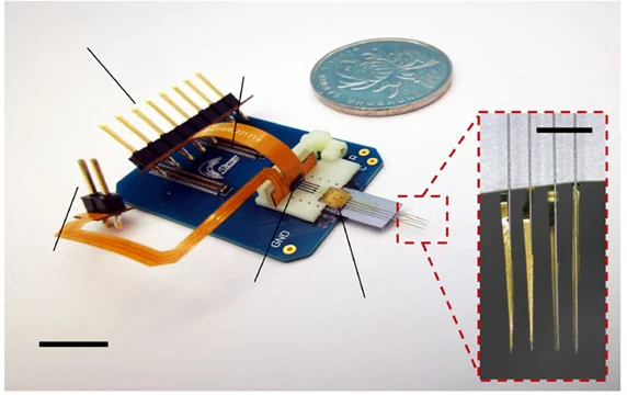 Photograph of the assembled biomimetic neural probe with its external circuit board, flexible four-shank electrode module, a coin, and a magnified view of the tips.