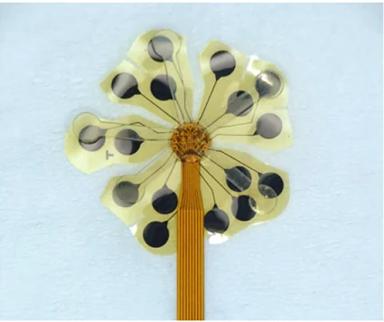 Photograph of the unfolded flower-shaped silk-enabled intraventricular electrode, with dark circular contacts on flexible petals.