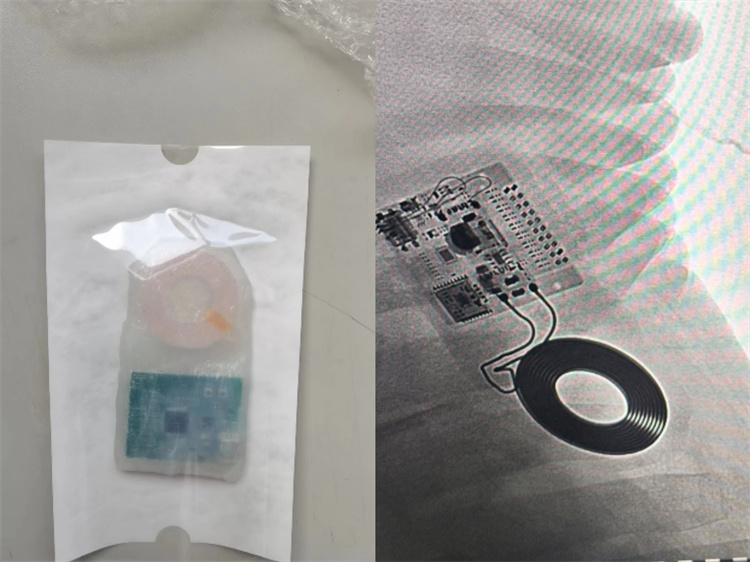 Photographs of the Nankai preclinical wireless transmission module and its subcutaneous placement in a sheep.