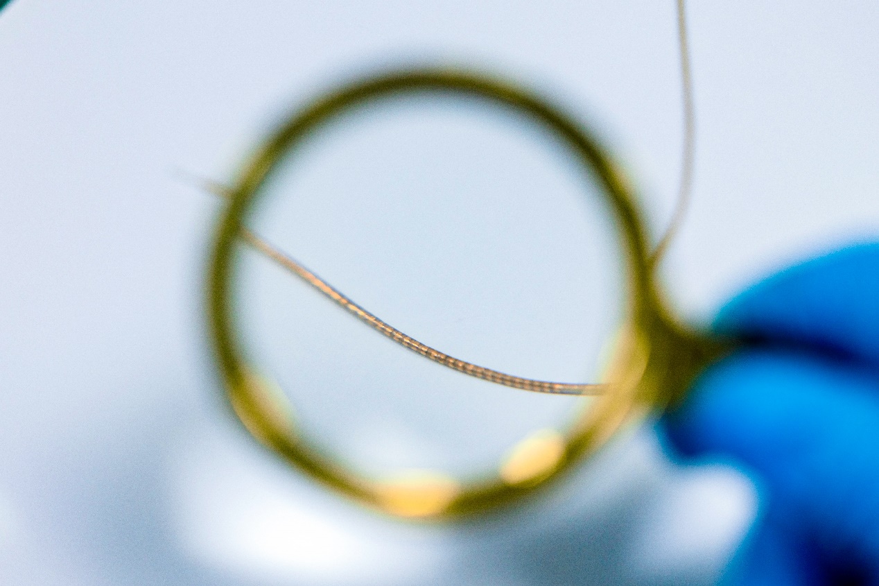 Close-up of a very fine NeuroWorm fibre electrode held with a blue-gloved hand and viewed through a magnifying lens.