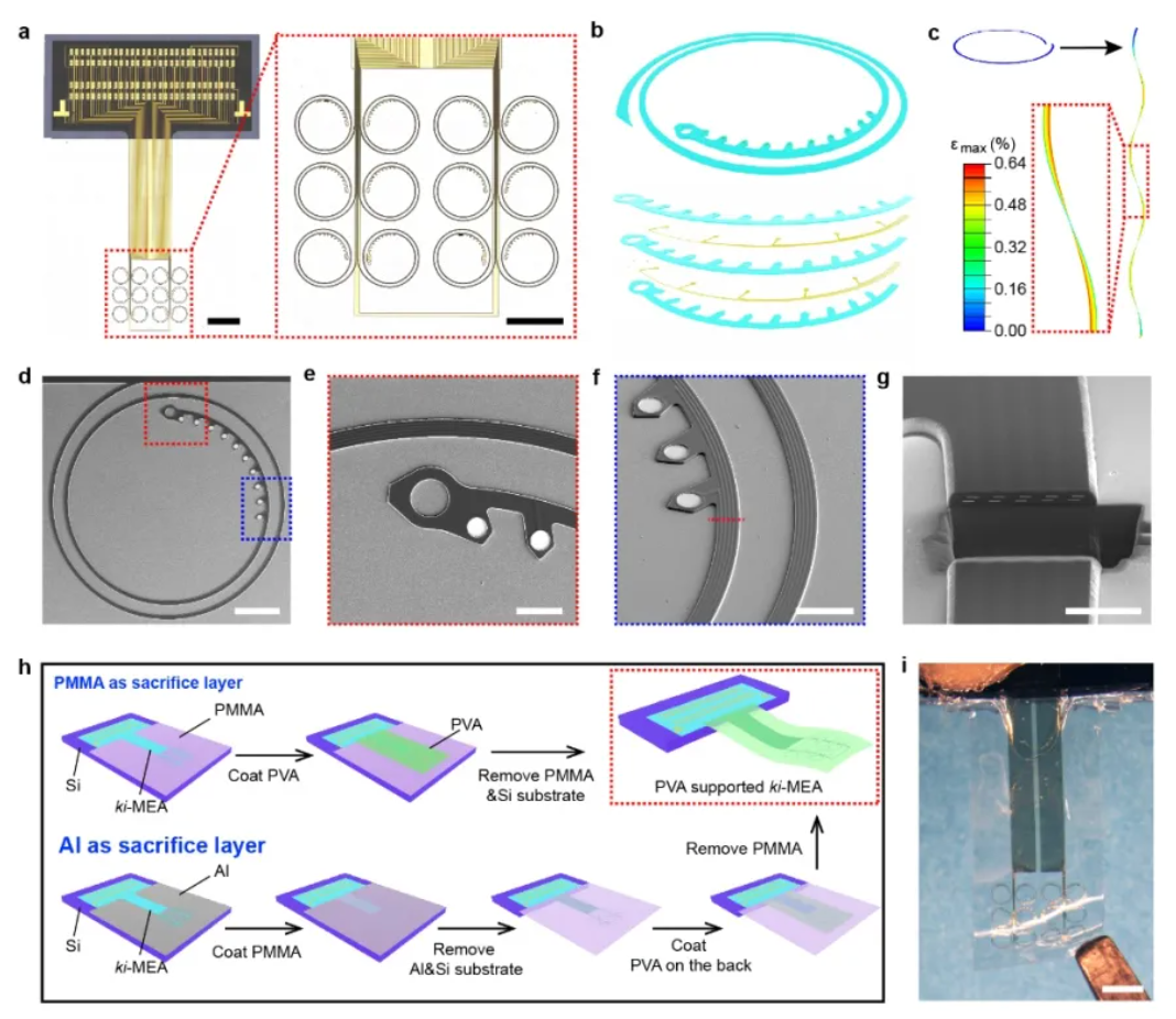 Research figure showing a 120-channel kirigami microelectrode array, circular patterned wires, micrographs of contact regions, fabrication and an array suspended from a transfer film.