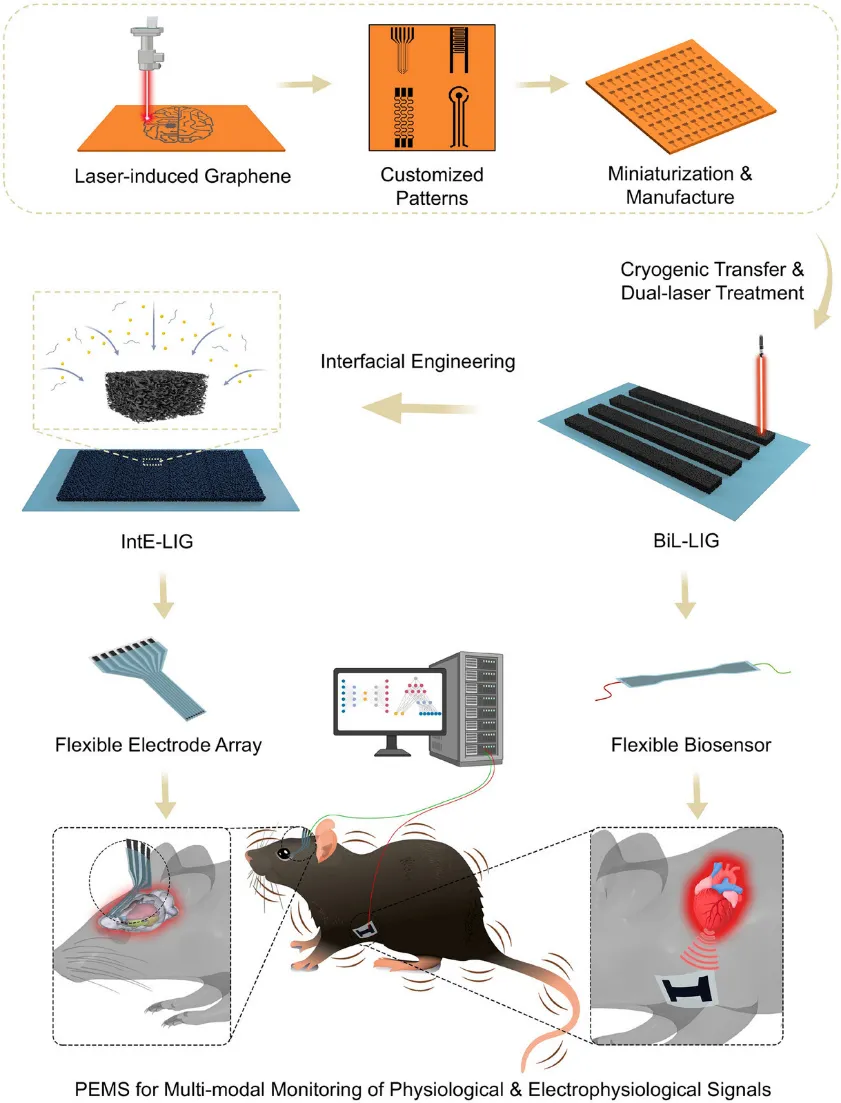 SIAT figure separating wearable bilateral laser-induced graphene sensors from interface-engineered flexible neural electrode arrays.
