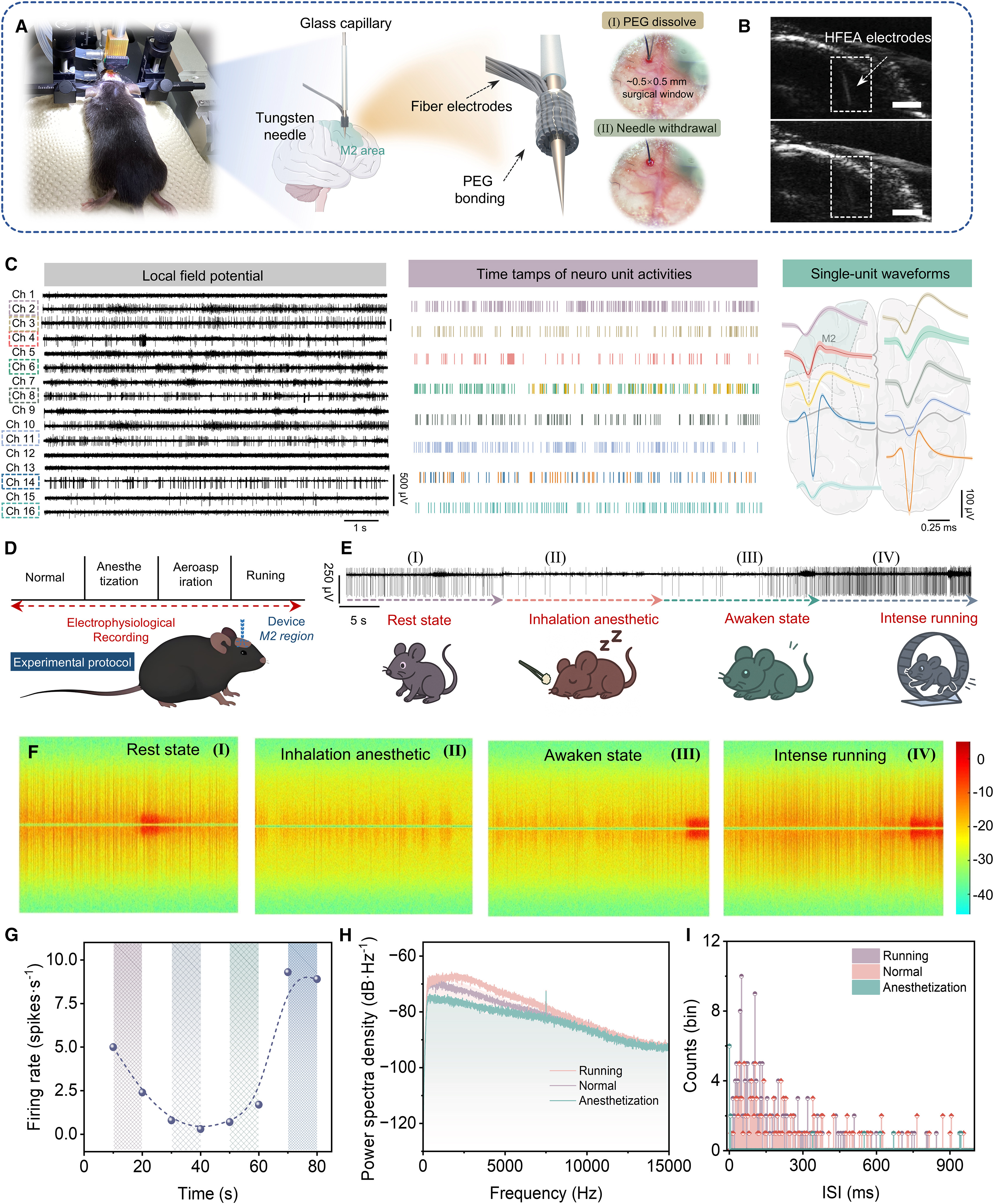 Original SINANO figure showing hydrogel fibre electrode insertion, a 16-channel cortical array and electrophysiology examples.