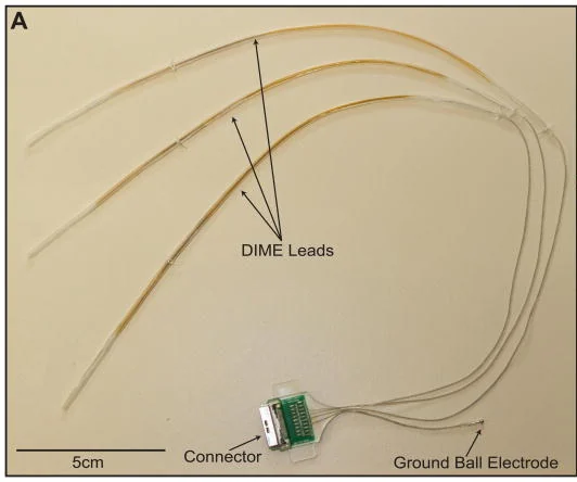 Fabricated three-lead DIME assembly of multiple LIFE wires and external connector, with a 5 cm scale bar.