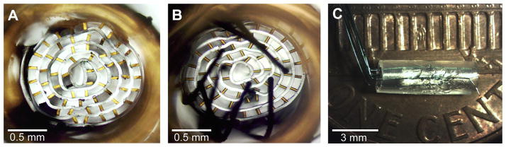 Complete Figure 9 with proximal, distal and side photographs of the rolled microchannel interface and its integrated microwire electrodes, including original scale bars.