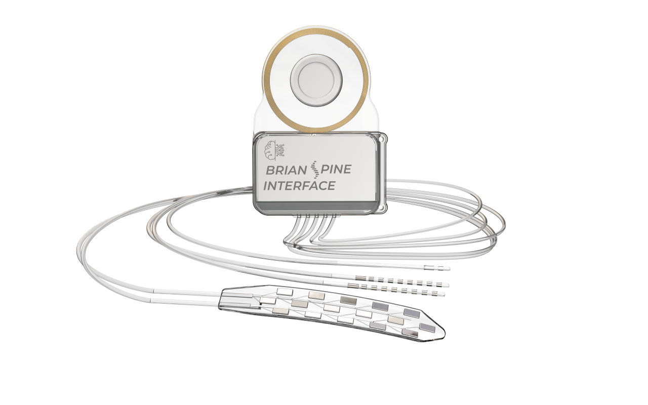 Fudan source rendering of a brain-spine interface with a circular wireless receiver, central implant package, multiple long fine leads and a spinal contact paddle.